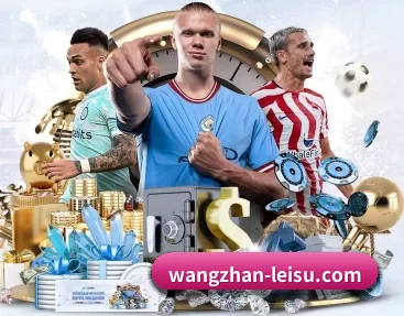 wangzhan-leisu.com APP